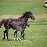 Birgit, Wendorf (Kuhlen-Wendorf)