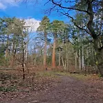 度假居 Birgit, *
