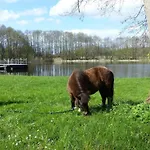 Birgit,