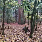 Birgit, 度假居
