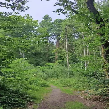 Semesterbostad Birgit,