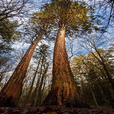 Birgit, Semesterbostad Wendorf (Kuhlen-Wendorf)