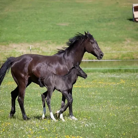 Birgit, Wendorf (Kuhlen-Wendorf)