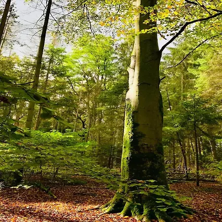 Birgit, * Wendorf (Kuhlen-Wendorf)