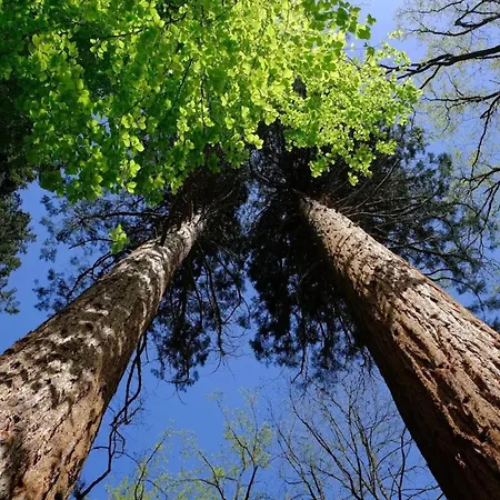 Birgit, Semesterbostad *