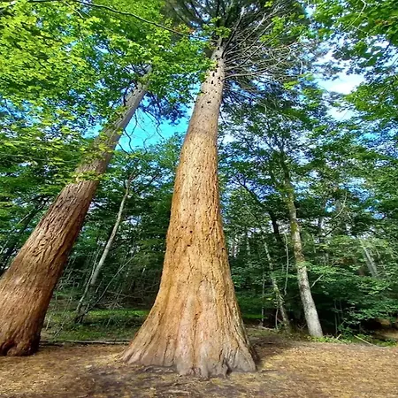 Birgit, Semesterbostad Wendorf (Kuhlen-Wendorf)