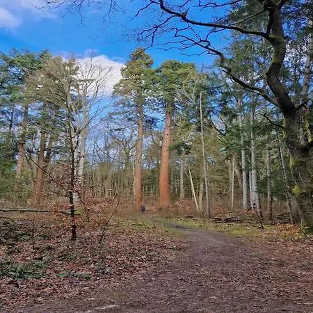 Semesterbostad Birgit, *