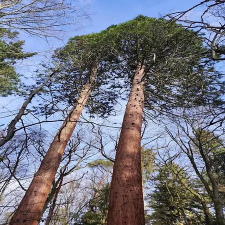 Birgit, Semesterbostad Wendorf (Kuhlen-Wendorf)