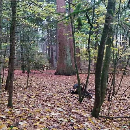 Birgit, Semesterbostad